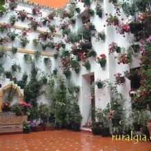 Casa Rural Villa Mara. La Puebla de los Infantes. Sevilla. PATIOS DE CÓRDOBA, VISITABLES, a 50 minutos en coche